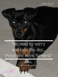 focus and move forward